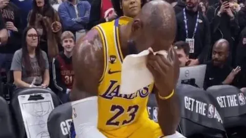 魔兽世界怀旧服熊猫人之谜第三阶段雷电王座DPS专家推荐及质合